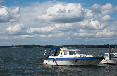 Avanti kausi 2008